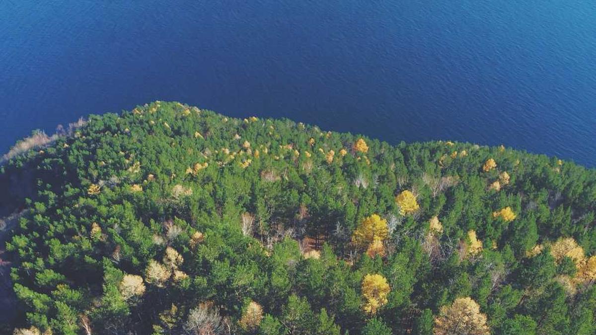 新余钢铁集团有限公司是正厅级?