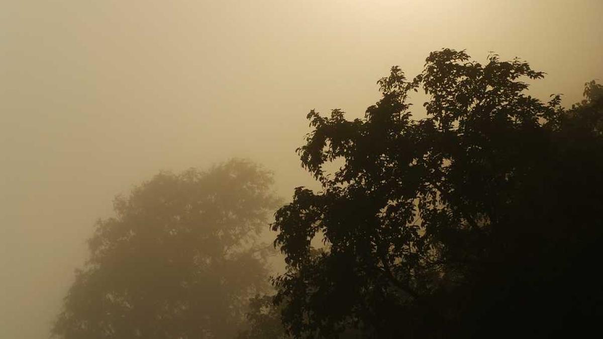 黄石还会有第六季吗